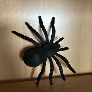 Black Spider Wall Decor